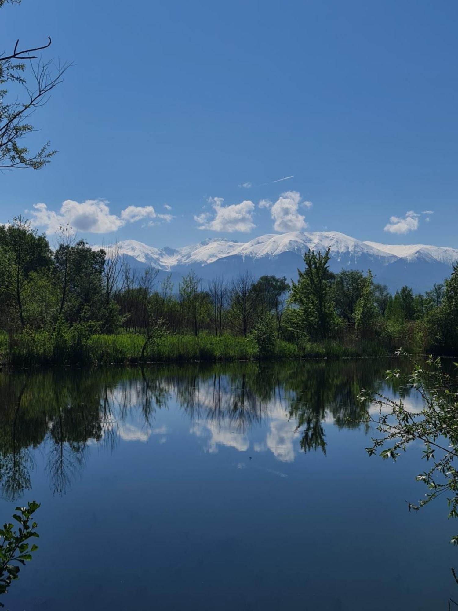 Casute In Mijlocul Naturii - Wild Camp * Avrig